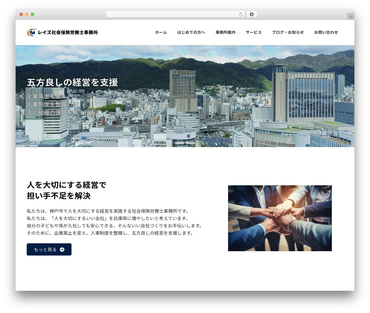 Lightning WordPress theme - raise-sr.com