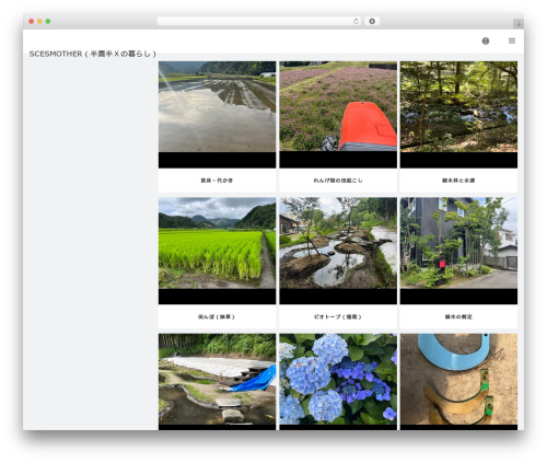 VIEW theme WordPress - scesmother.biz