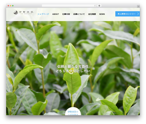 Tcd workflow WordPress plugin - isematcha-saiyou.com
