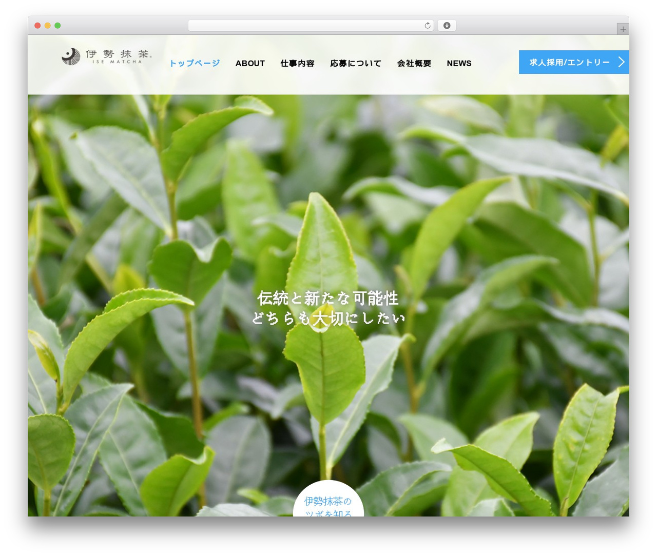 AGENT theme WordPress - isematcha-saiyou.com AGENT theme WordPress - isematcha-saiyou.com