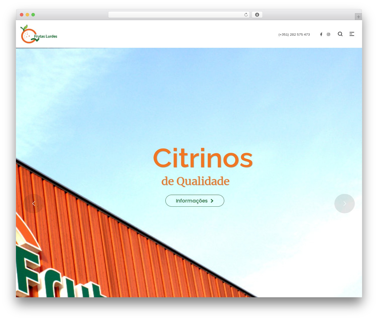 Camille theme WordPress - frutaslurdes.com