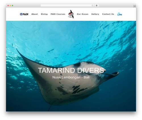 Divi theme WordPress - tamarinddivers.com