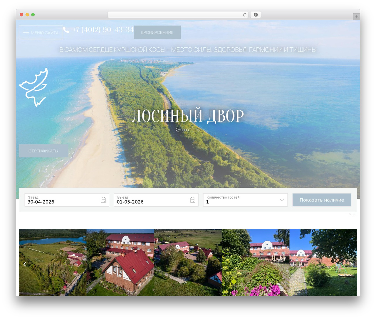 Hello Elementor WordPress theme - rossitten39.ru