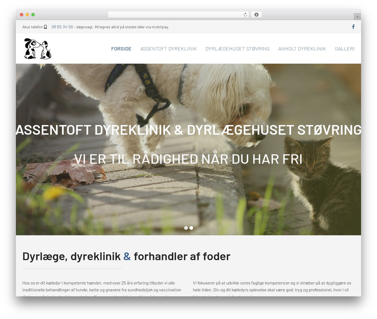 Megalith WordPress theme - assentoft-dyreklinik.dk