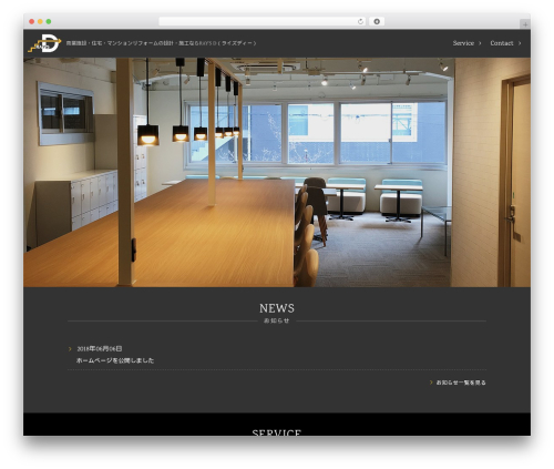 RAYS-D premium WordPress theme - ray-sd.com