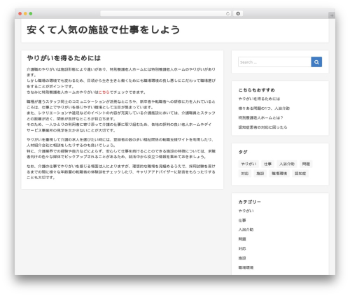 WordPress theme NEBlue - w-lodzi.info