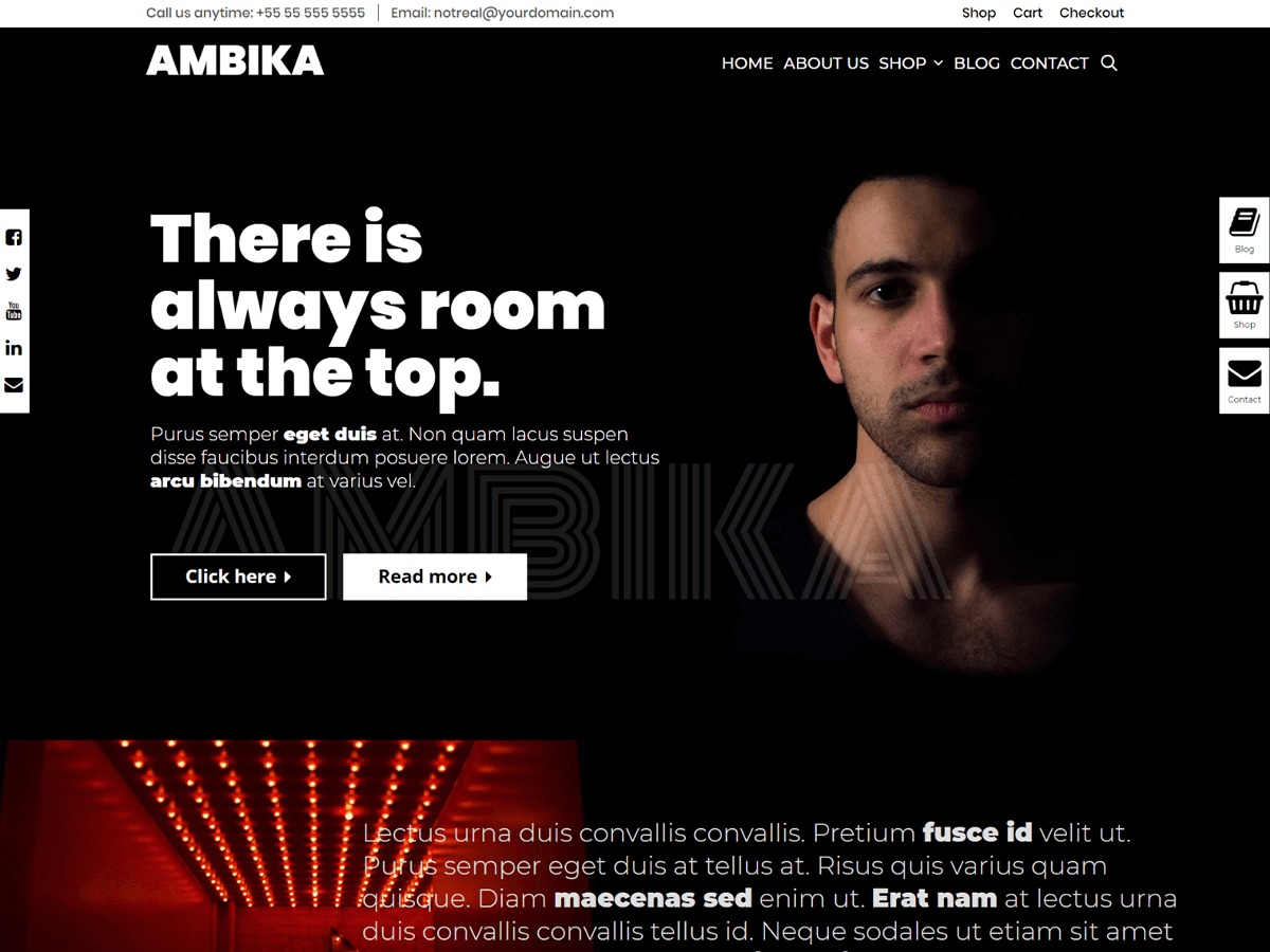 Ambika WordPress shop theme