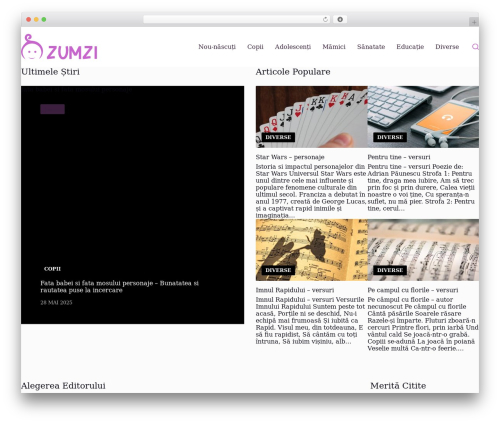 Custom footer main WordPress plugin - zumzi.ro