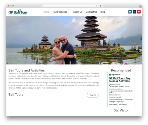 Telephone field for elementor forms WordPress plugin - gpbalitour.com