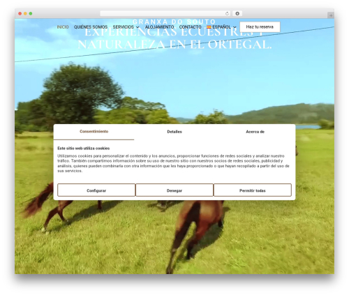 Pululart cookies WordPress plugin - granxadosouto.es