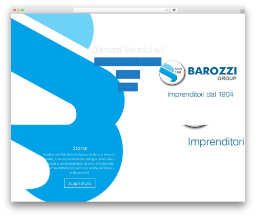 Theme WordPress Divi - barozzigroup.com