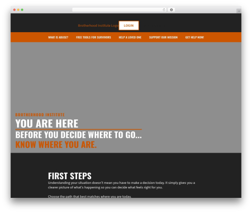 WordPress theme Breakdance Zero Theme - brotherhoodinstitute.com