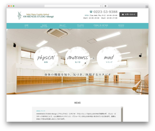 WordPress website theme Themify Basic - allonge.info