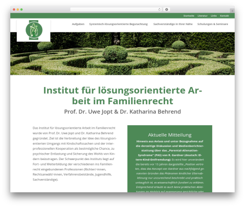 Fix divi a11y wa21 WordPress plugin - loesungsorientierte-arbeit.de