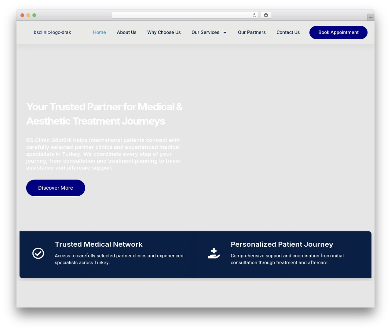 Hello Elementor WordPress theme - bsclinicgokturk.com