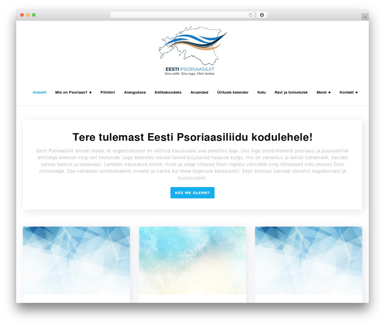 Shuttle WordPress theme - epsol.ee
