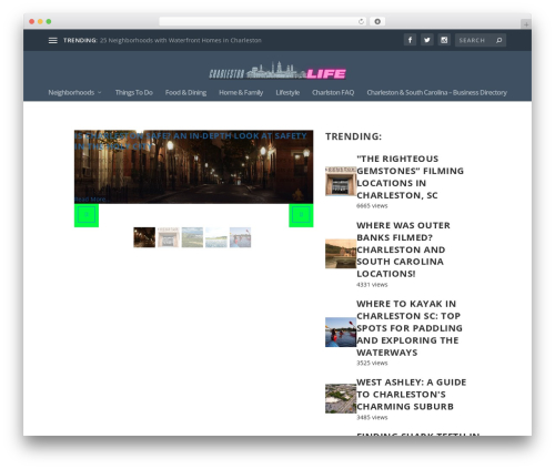 Divi taxonomy helper WordPress plugin - charleston-life.com