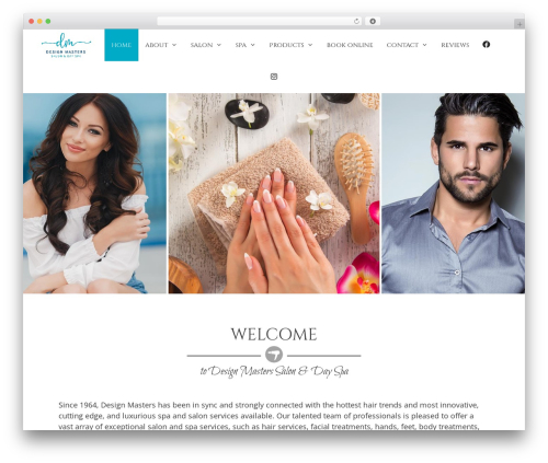 Accesspress social icons pro WordPress plugin - designmasterssalon.com