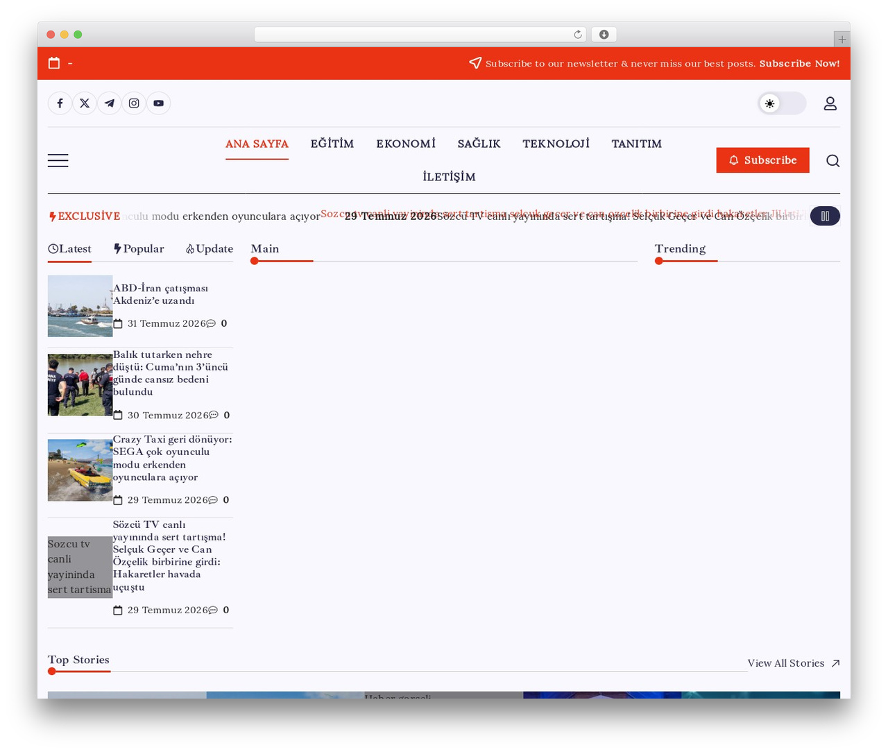 Blogsy News free WP theme - temizleme.org