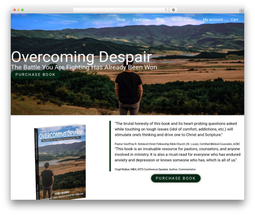 Extra fees for woocommerce WordPress plugin - overcomingdespair.com