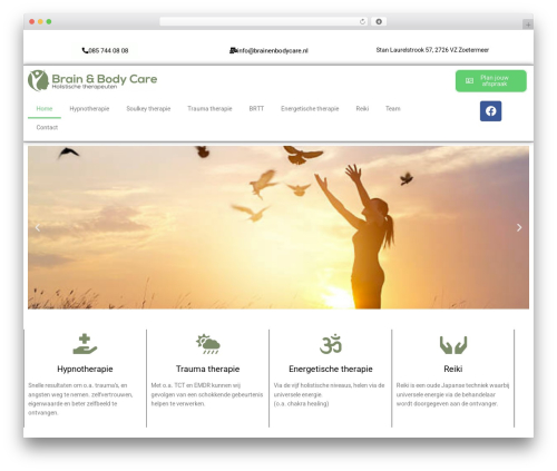 Theme WordPress DeepMind - brainenbodycare.eu