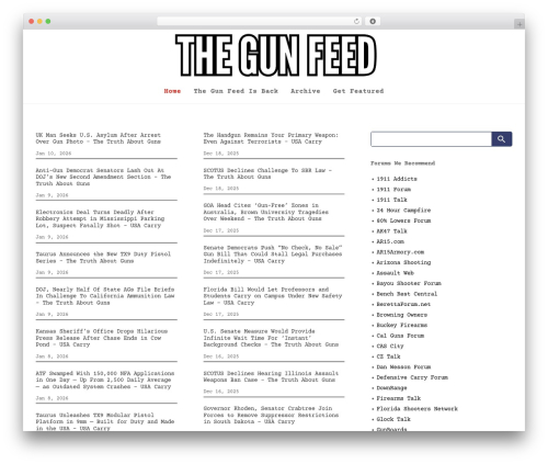 Super speedy search WordPress plugin - thegunfeed.com