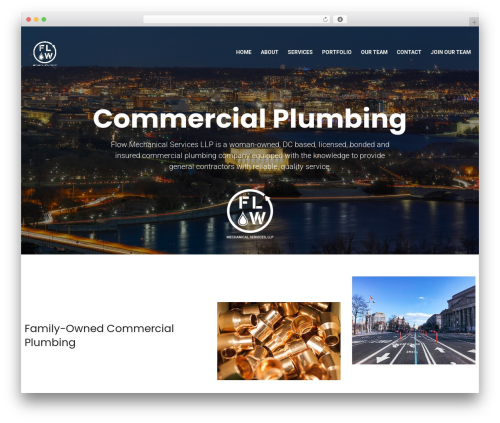 CodePoint WordPress theme - flowdmv.com
