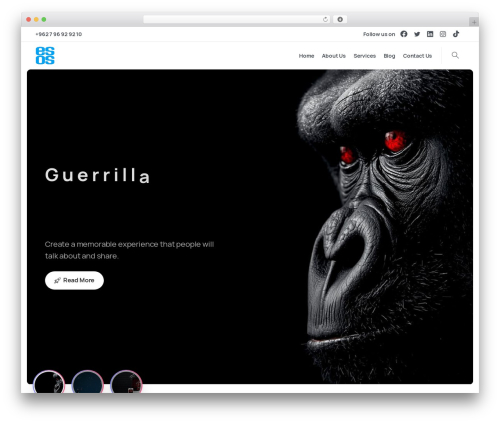 Pixfort likes WordPress plugin - esospro.com