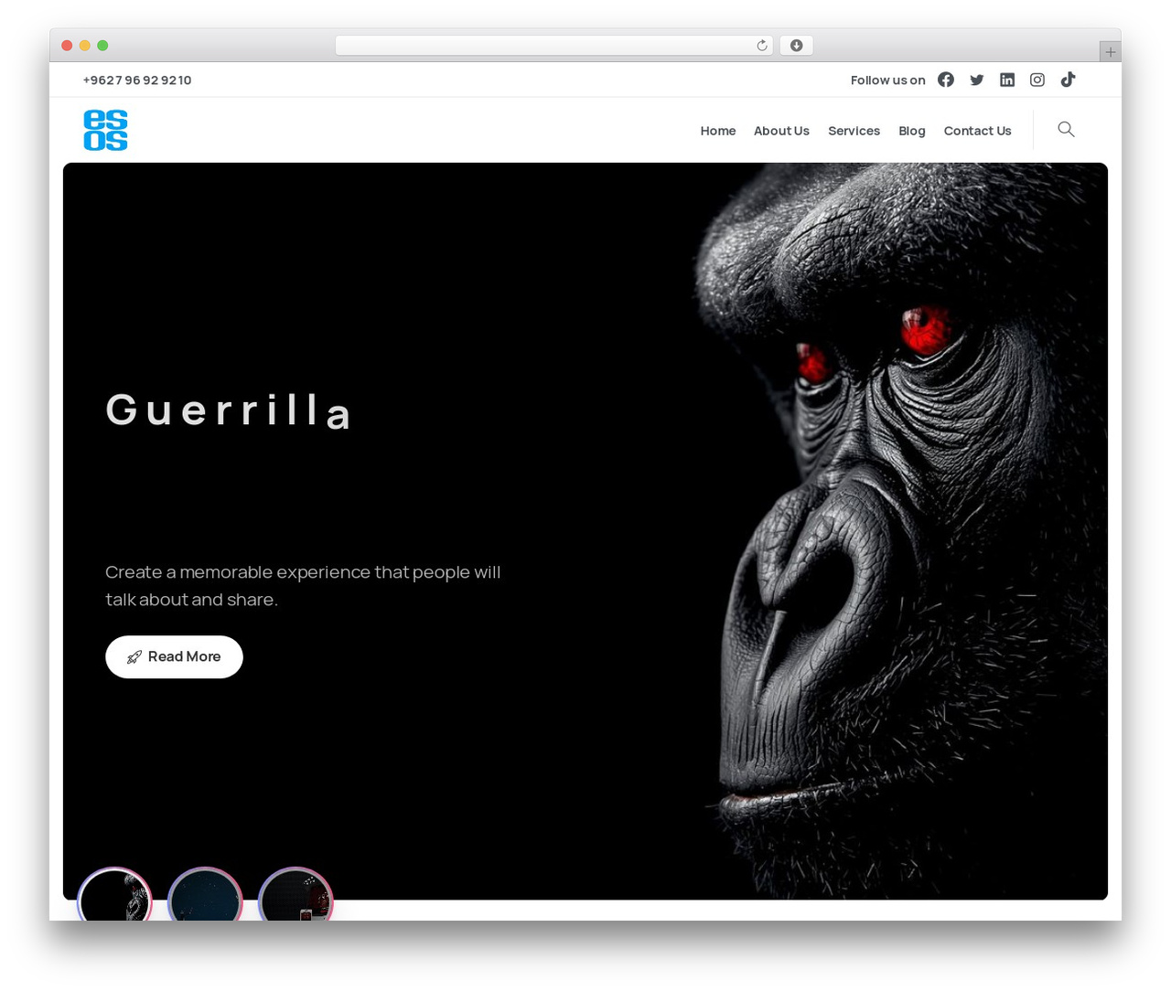 Essentials WP theme - esospro.com