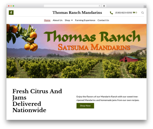 TP Product Image Flipper for Woocommerce (tp-product-image-flipper-for-woocommerce) free WordPress plugin - thomasranchmandarins.com TP Product Image Flipper for Woocommerce (tp-product-image-flipper-for-woocommerce) free WordPress plugin - thomasranchmandarins.com