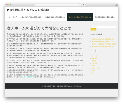 secure WordPress theme - moscow-shows.com
