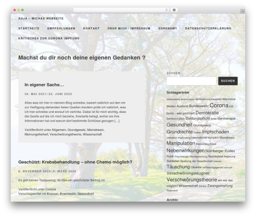 Slightly WordPress theme design - auja.de