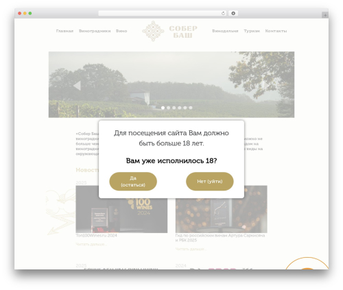 Theme WordPress Wine - soberbashvino.ru