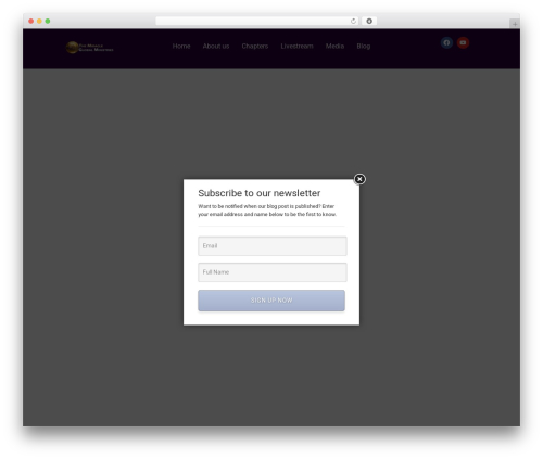 Best WordPress theme Hello Elementor - themiraclemovement.org