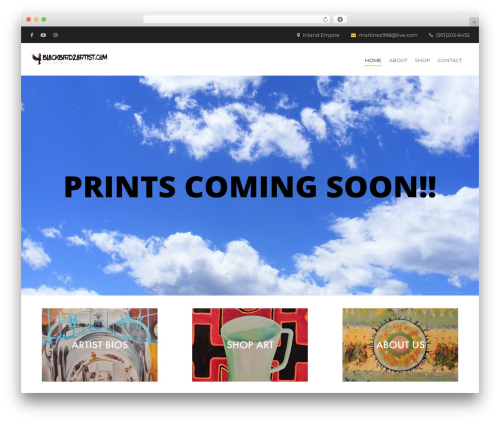Construction top WordPress theme - blackbird2artist.com