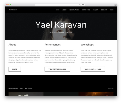 WP Nivo Slider (wp-nivo-slider) free WordPress plugin - yaelkaravan.com