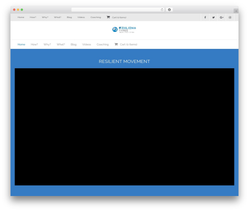 Thinkup panels WordPress plugin - resilientthree.com