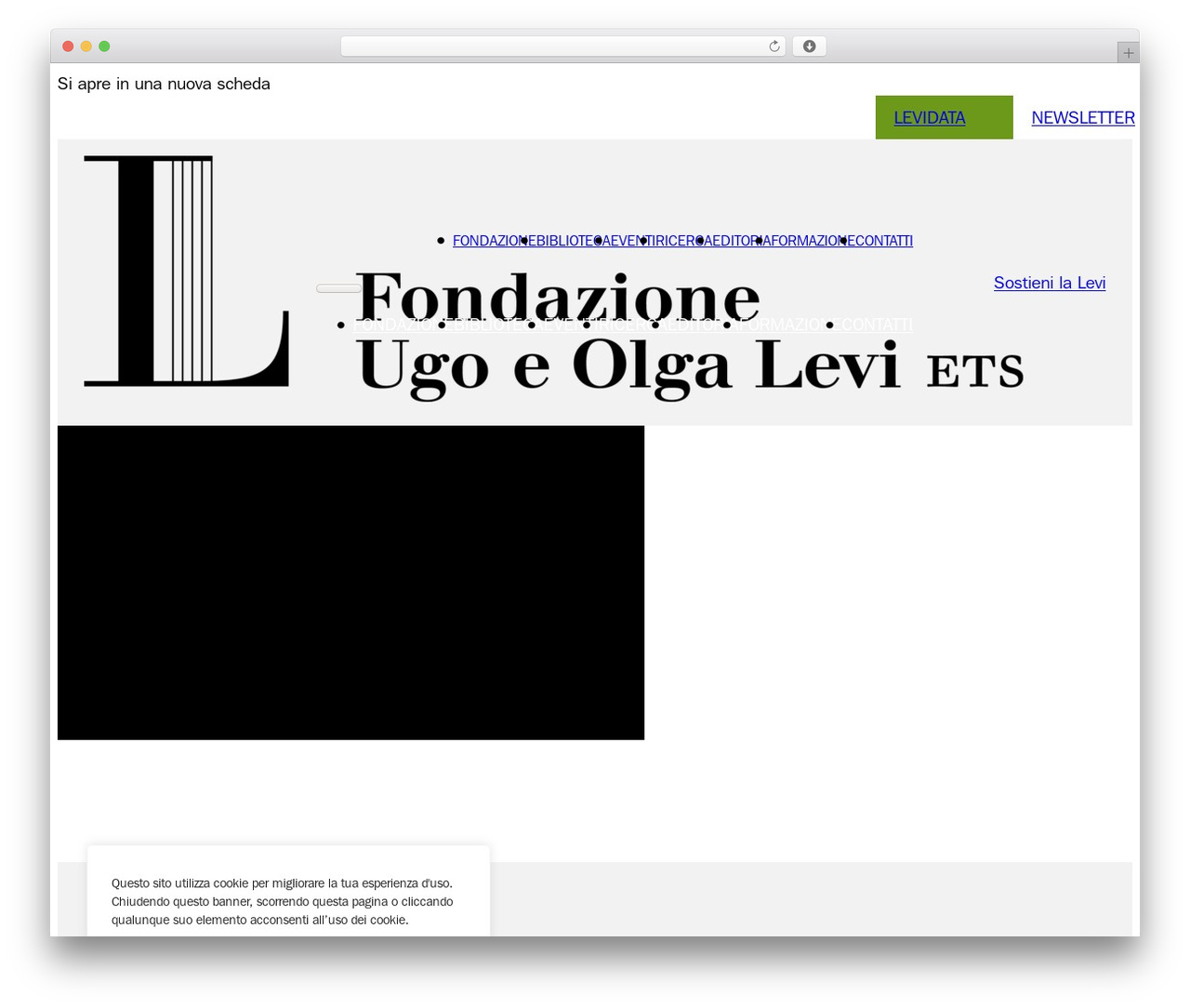 Bricks WordPress theme - fondazionelevi.it Bricks WordPress theme - fondazionelevi.it