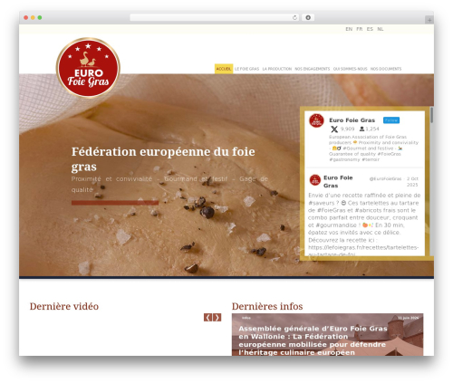 All in one video gallery premium WordPress plugin - eurofoiegras.com