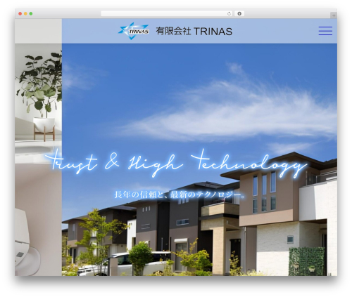 STINGER8-custom WP theme - trinas0601.com