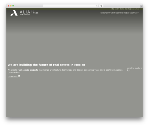 WordPress theme Aliah Developments - aliah.mx