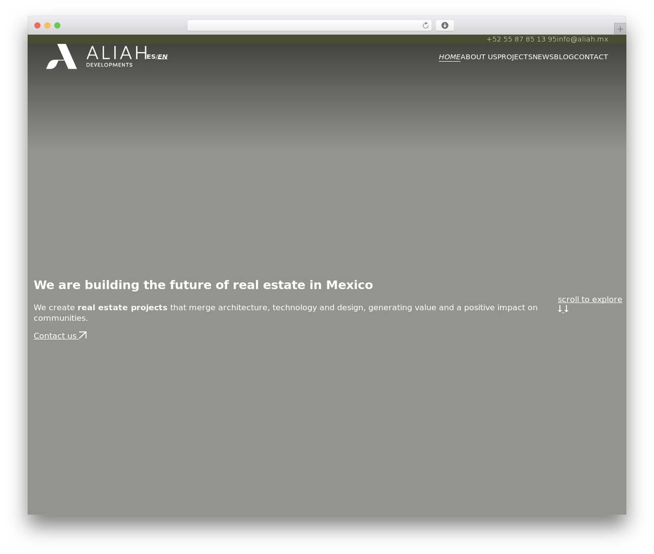 WordPress theme Aliah Developments - aliah.mx WordPress theme Aliah Developments - aliah.mx
