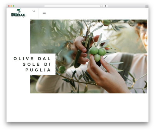 CIRI theme WordPress - dileccesrl.it