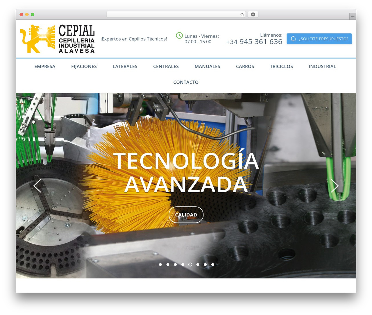 Cleaning Services theme WordPress - cepial.net