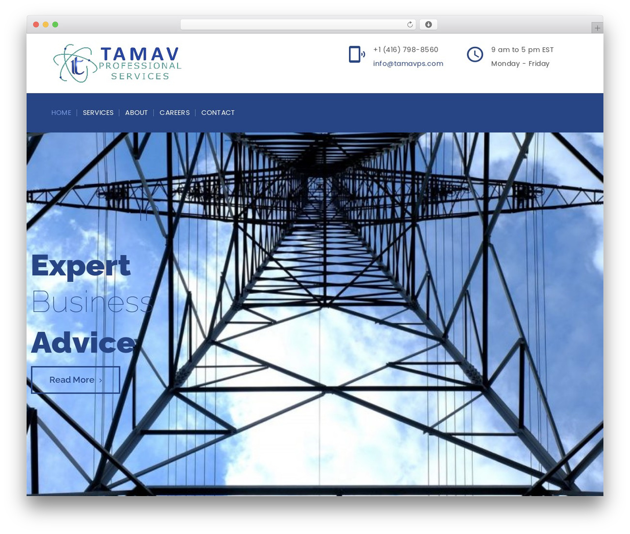 Consultancy WordPress theme - tamavps.com