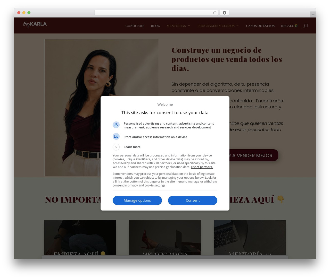 Divi WordPress store theme - heykarla.com