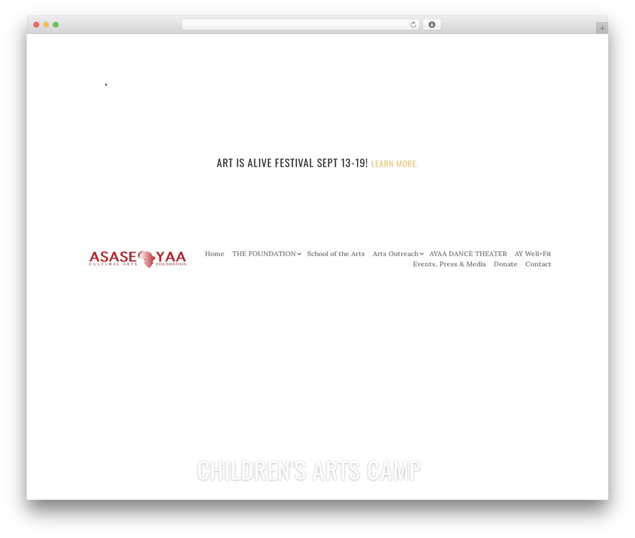 Divi WP theme - asaseyaaent.org