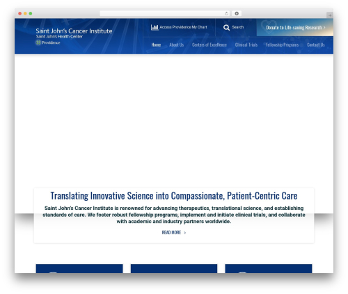 Em components WordPress plugin - saintjohnscancer.org
