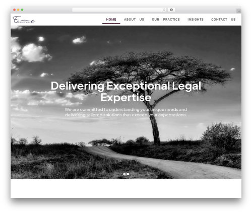 Team press WordPress plugin - e-eadvocates.com