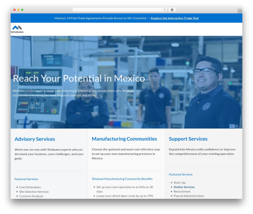 Nex WordPress theme - tetakawi.com